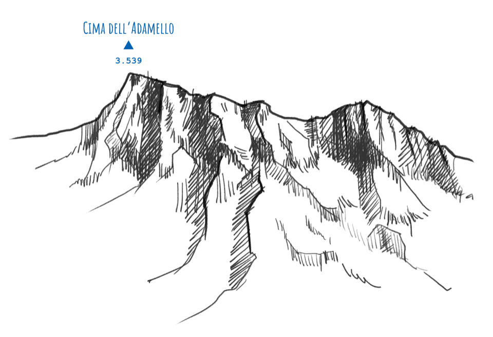Disegno cima Adamello