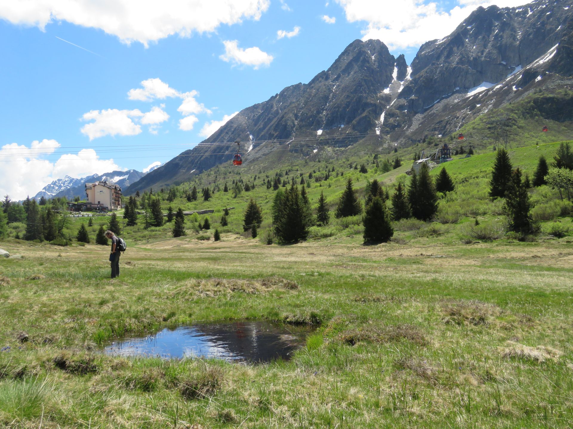 Torbiere del Tonale