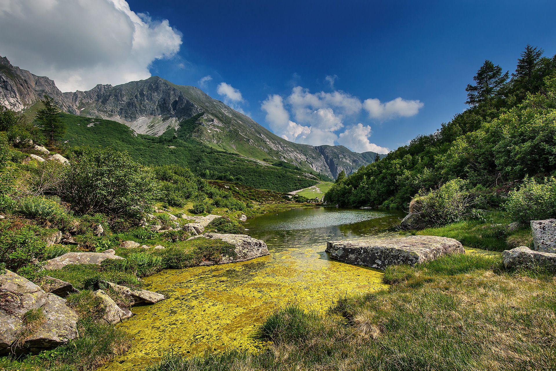 Val di Stabio