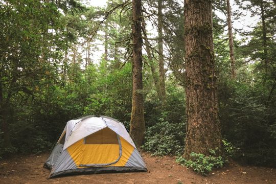 Tenda in un bosco