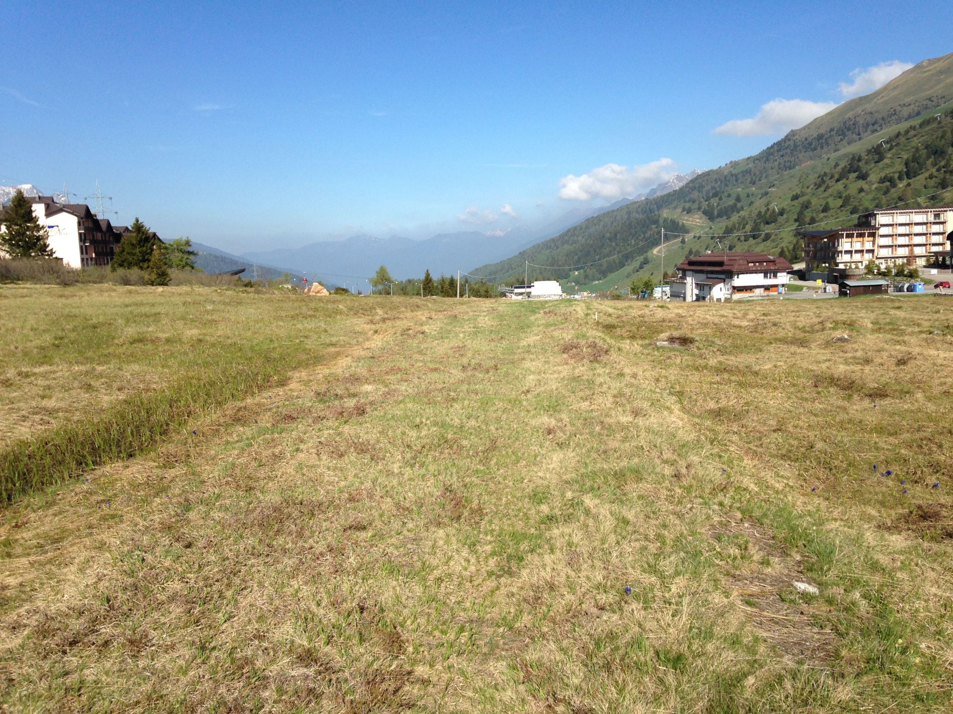 Torbiere del Tonale