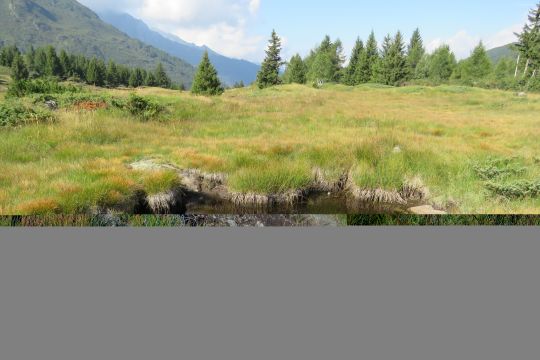 Torniere del Tonale, pozza d'acqua